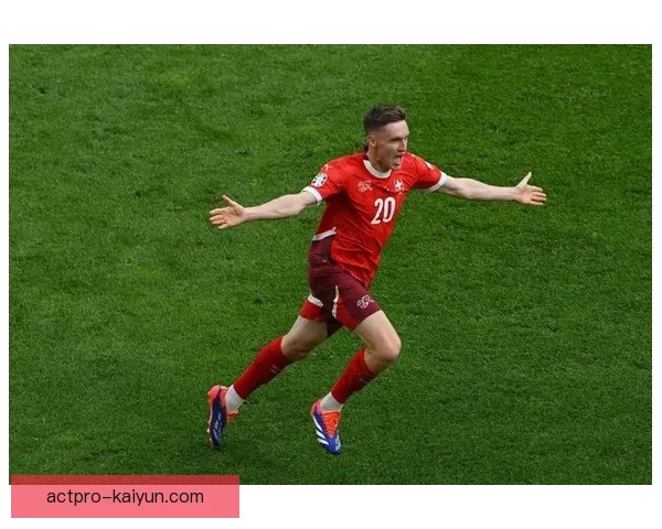 匈牙利欧洲杯表现稳健，防守稳固成关键亮点