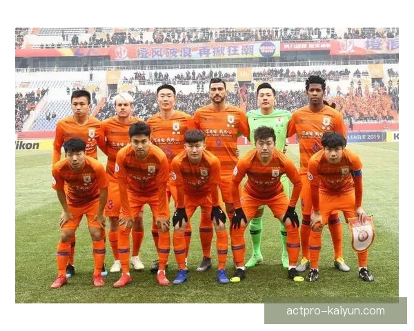 里尔球队结构解析：当前阵容框架与战术体系分析